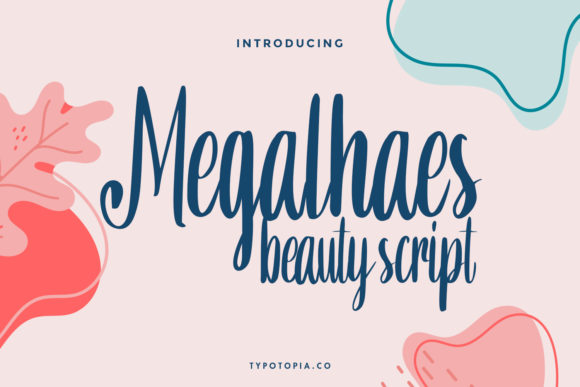 Elevate Your Web Design with Megalhaes Font