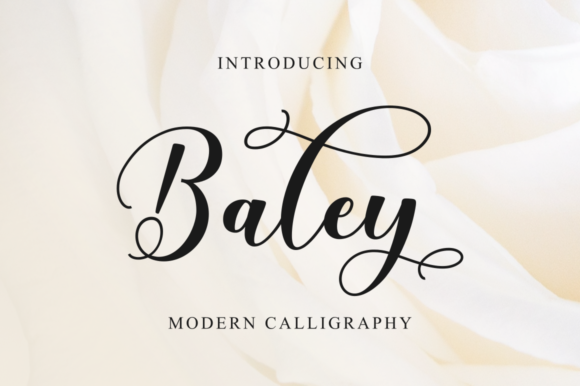 Enhance Your Campaigns with Baley: A Versatile Handwritten Font