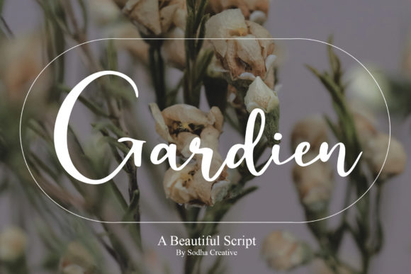 Unveiling Gardien: A Modern Calligraphy Font for Eye-Catching Campaigns